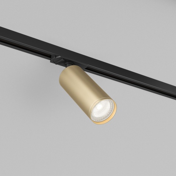 Однофазный двужильный трековый светильник Denkirs DK6202-BG Tube под сменную лампу GU10