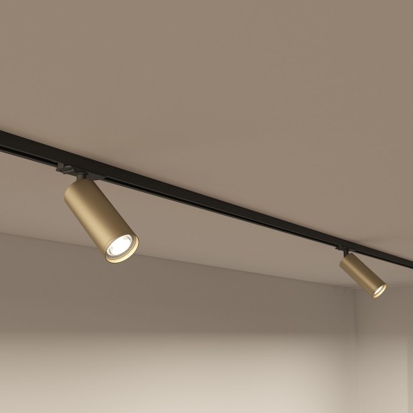 Однофазный двужильный трековый светильник Denkirs DK6202-BG Tube под сменную лампу GU10