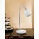 Настольная лампа EGLO 13501