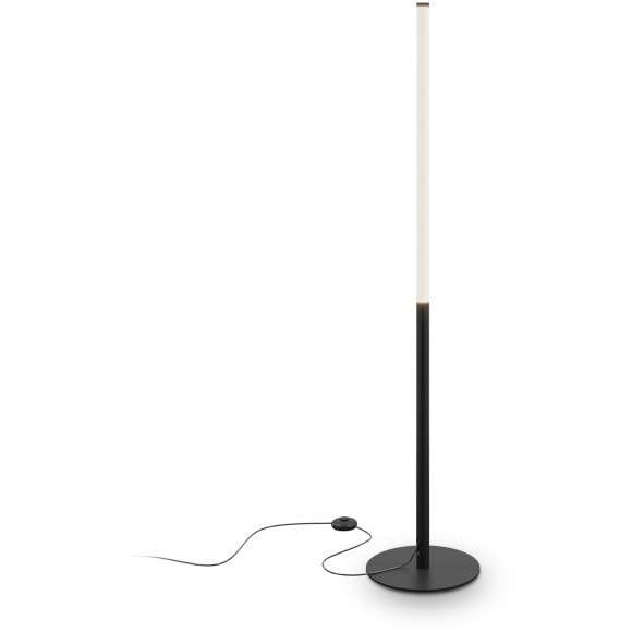 Торшер светодиодный с выключателем Ray Z012FL-L18B3K