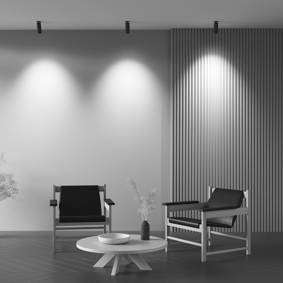 Потолочный светильник Technical C053CL-L12W3K-W-B