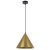 Подвесной светильник Arte Lamp DAVID A7041SP-1BK