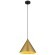Подвесной светильник Arte Lamp DAVID A7041SP-1BK