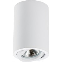 Накладной потолочный светильник Lightstar 214406 RULLO под лампу 1xGU10 50W