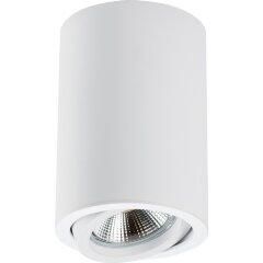 Накладной потолочный светильник Lightstar 214406 RULLO под лампу 1xGU10 50W Накладной потолочный светильник Lightstar 214406 RULLO под лампу 1xGU10 50W