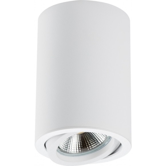 Накладной потолочный светильник Lightstar 214406 RULLO под лампу 1xGU10 50W