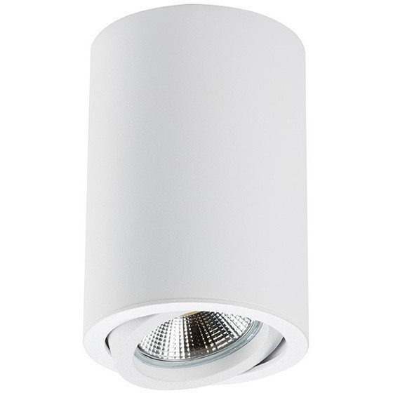 Накладной потолочный светильник Lightstar 214406 RULLO под лампу 1xGU10 50W