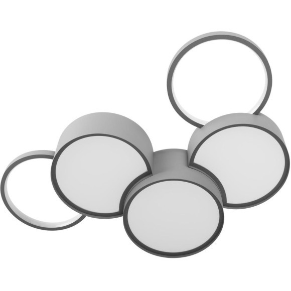 10317/5 Grey Потолочный светильник LOFT IT Pin
