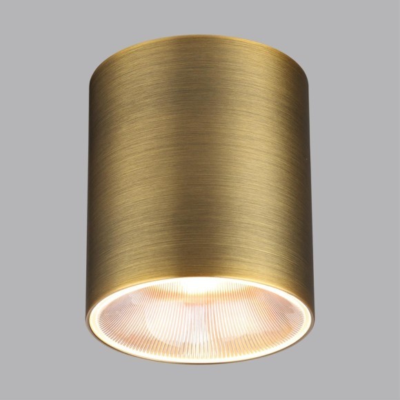 Потолочный светильник IP20 LED 12W 960Лм 3000K/4000K/6000K 36° 220-240V BRIM 7137/12CL