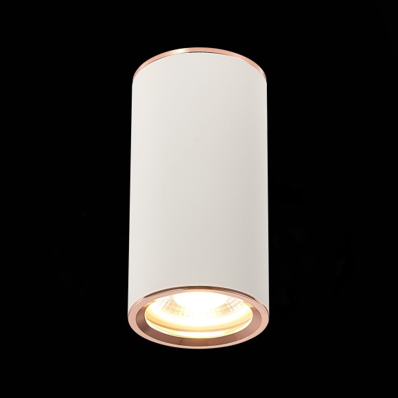 ST111.527.01 Светильник потолочный Белый GU10 1*50W D54xH105 220V Без ламп Накладные светильники ST111.527.01 Светильник потолочный Белый GU10 1*50W D54xH105 220V Без ламп Накладные светильники