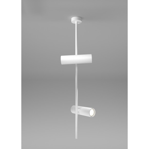 Накладной потолочный светильник Maytoni C021CL-02W Elti под лампы 2xGU10 50W