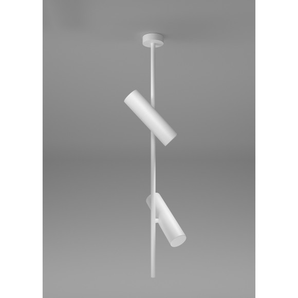 Накладной потолочный светильник Maytoni C021CL-02W Elti под лампы 2xGU10 50W