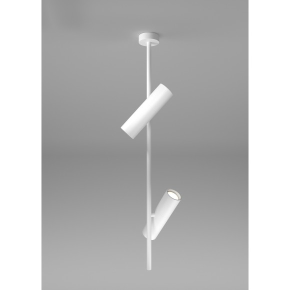 Накладной потолочный светильник Maytoni C021CL-02W Elti под лампы 2xGU10 50W