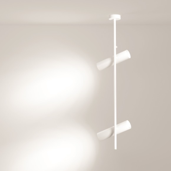 Накладной потолочный светильник Maytoni C021CL-02W Elti под лампы 2xGU10 50W