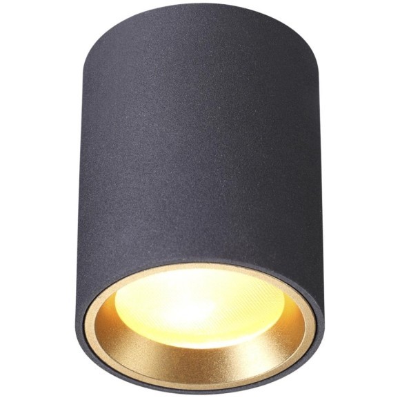 Уличный потолочный светильник Odeon Light 4205/1C AQUANA под лампу 1xGU10 50W