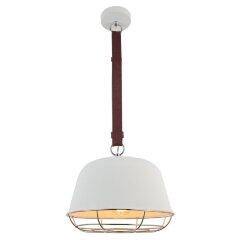 Подвесной светильник с 1 плафоном Lussole GRLSP-8043 KODIAK IP21 под лампу 1xE27 10W