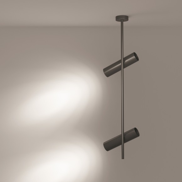 Накладной потолочный светильник Maytoni C021CL-02B Elti под лампы 2xGU10 50W