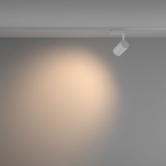 Однофазный двужильный светодиодный трековый светильник Maytoni Unity TR003-1-10W3K-W-W Vuoro 3000К 824Лм CRI90+ 60° 10Вт