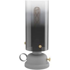 43929 Настольная лампа GARGRAVE, 1X40W (E27), H315, сталь, серый, матовая латунь / стекло, серый градиентный