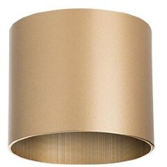 Светильник точечный накладной декоративный под заменяемые галогенные или LED лампы Rullo Lightstar 213490 Светильник точечный накладной декоративный под заменяемые галогенные или LED лампы Rullo Lightstar 213490