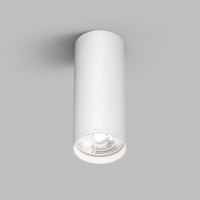 Накладной светильник Denkirs TUBE | ТЬЮБ DK2051-WH