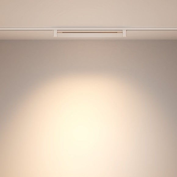 Однофазный двужильный светодиодный трековый светильник Maytoni Unity TR010-1-20W4K-M-W Points Rot 4000К 1500Лм CRI90+ 36° 20Вт