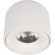 10219 White 4000K Потолочный светильник LOFT IT Tictac