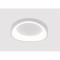 Потолочный светильник Arte Lamp SUALOCIN A2698PL-48WH