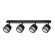 Спот Arte Lamp ATRIA A8031PL-4BK