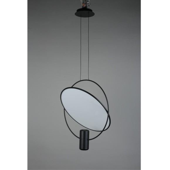 Светильник подвесной OML-29806-02 Светильник подвесной OML-29806-02