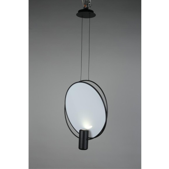 Светильник подвесной OML-29806-02 Светильник подвесной OML-29806-02