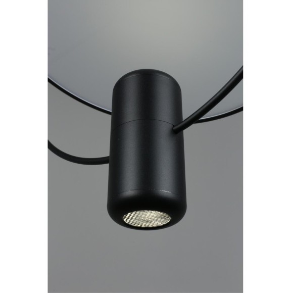 Светильник подвесной OML-29806-02 Светильник подвесной OML-29806-02