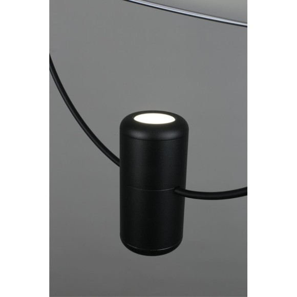 Светильник подвесной OML-29806-02 Светильник подвесной OML-29806-02