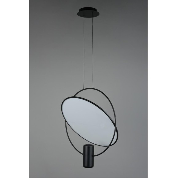 Светильник подвесной OML-29806-02 Светильник подвесной OML-29806-02