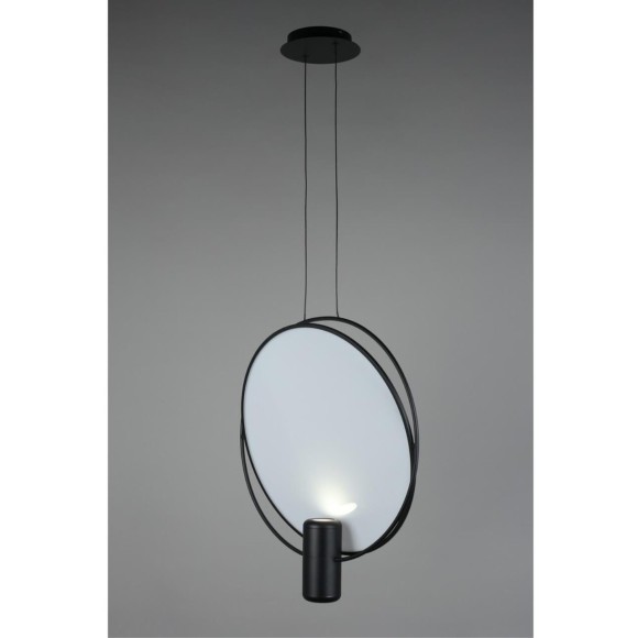 Светильник подвесной OML-29806-02 Светильник подвесной OML-29806-02