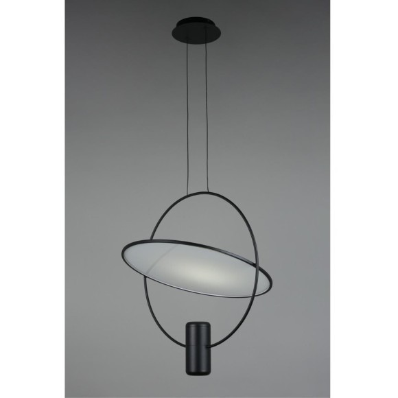 Светильник подвесной OML-29806-02 Светильник подвесной OML-29806-02