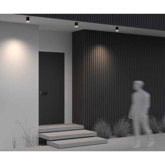 Потолочный светильник Outdoor O499CL-L10B3K