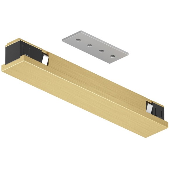 TR5722-SB Прямой коннектор питания латунь Denkirs Shine 48V