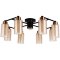 Люстра потолочная Arte Lamp A7027PL-8BK LEO под лампы 8xE14 40W