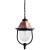 Уличный подвесной светильник Arte Lamp A1485SO-1BK BARCELONA IP44 под лампу 1xE27 75W
