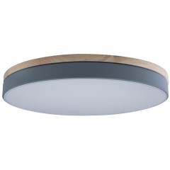 10001/36 Grey Потолочный светильник LOFT IT Axel 10001/36 Grey Потолочный светильник LOFT IT Axel