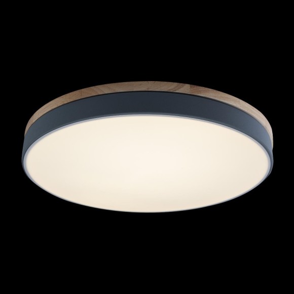 10001/36 Grey Потолочный светильник LOFT IT Axel 10001/36 Grey Потолочный светильник LOFT IT Axel