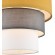 Подвесной светильник Е27 Lumion ILAIDA 8038/1