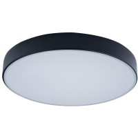 10002/24 Black Потолочный светильник LOFT IT Axel