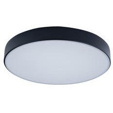 10002/24 Black Потолочный светильник LOFT IT Axel