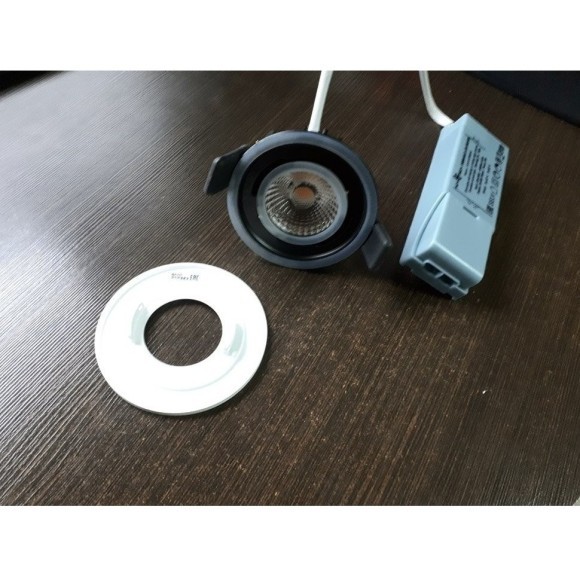 Точечный светильник светодиодный диммируемый Regen 358342 IP44