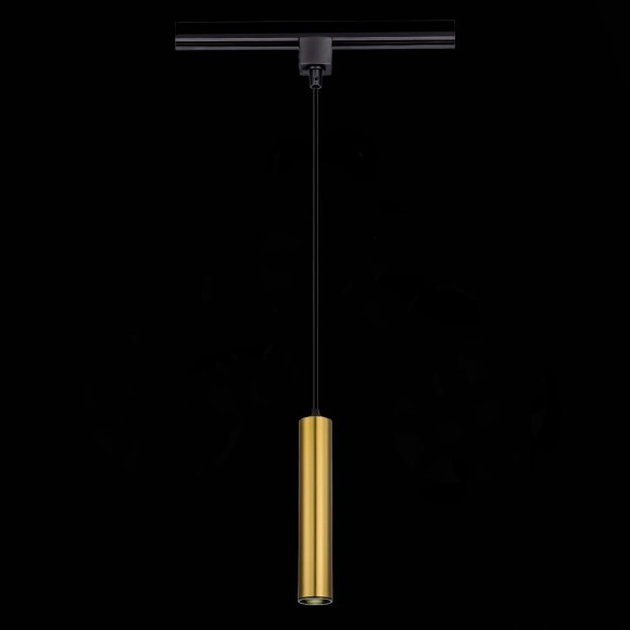 ST151.306.01 однофазный двужильный трековый светильник ST Luce под сменную лампу GU10