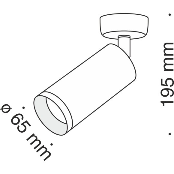Потолочный светильник Technical C017CW-01CH