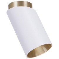 Точечный накладной светильник Arte Lamp CONE A5360PL-1WH