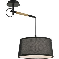 Настенно-потолочный светильник Eureka 3006-1P Настенно-потолочный светильник Eureka 3006-1P